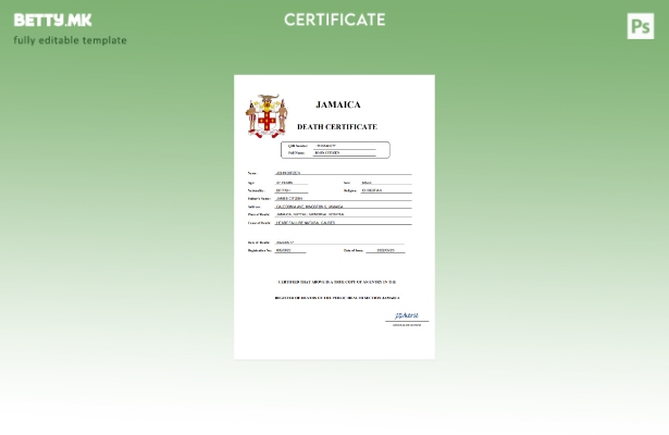 модерен стил Јамајка витална евиденција за смртен шаблон Word и PDF шаблон